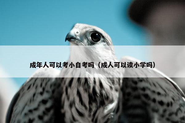 成年人可以考小自考吗（成人可以读小学吗）