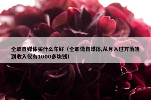 全职自媒体买什么车好（全职做自媒体,从月入过万落魄到收入仅有1000多块钱）