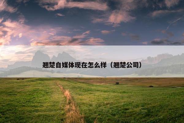 翘楚自媒体现在怎么样（翘楚公司）