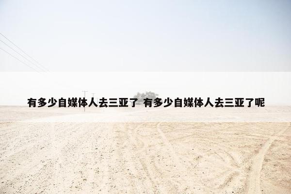 有多少自媒体人去三亚了 有多少自媒体人去三亚了呢