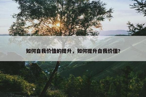 如何自我价值的提升，如何提升自我价值?