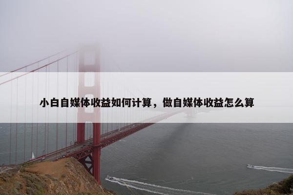 小白自媒体收益如何计算，做自媒体收益怎么算