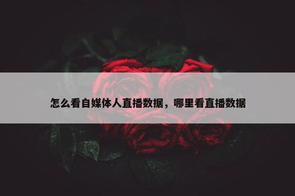 怎么看自媒体人直播数据，哪里看直播数据