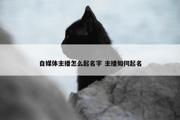 自媒体主播怎么起名字 主播如何起名