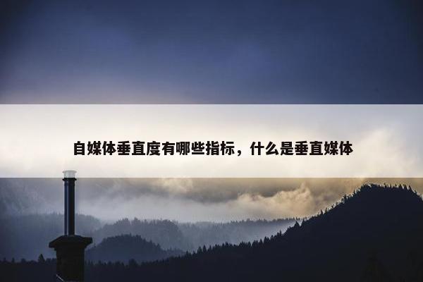 自媒体垂直度有哪些指标，什么是垂直媒体