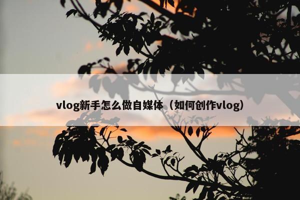 vlog新手怎么做自媒体（如何创作vlog）