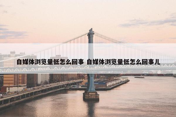 自媒体浏览量低怎么回事 自媒体浏览量低怎么回事儿