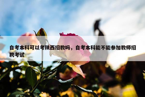 自考本科可以考陕西招教吗，自考本科能不能参加教师招聘考试