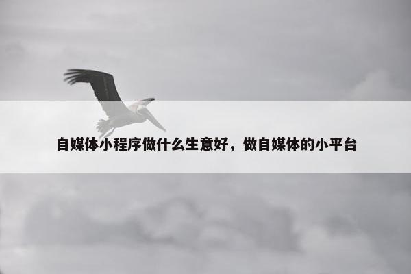 自媒体小程序做什么生意好，做自媒体的小平台