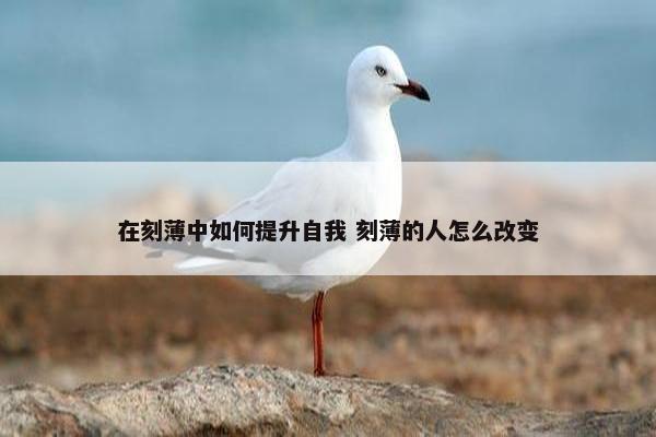 在刻薄中如何提升自我 刻薄的人怎么改变