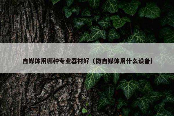 自媒体用哪种专业器材好（做自媒体用什么设备）