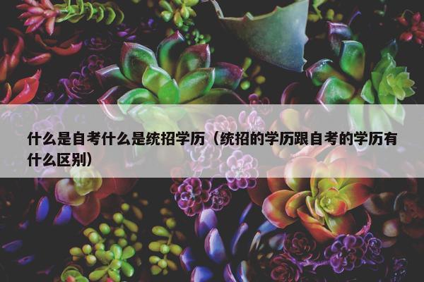 什么是自考什么是统招学历（统招的学历跟自考的学历有什么区别）