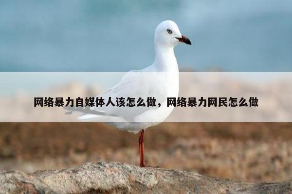 网络暴力自媒体人该怎么做，网络暴力网民怎么做