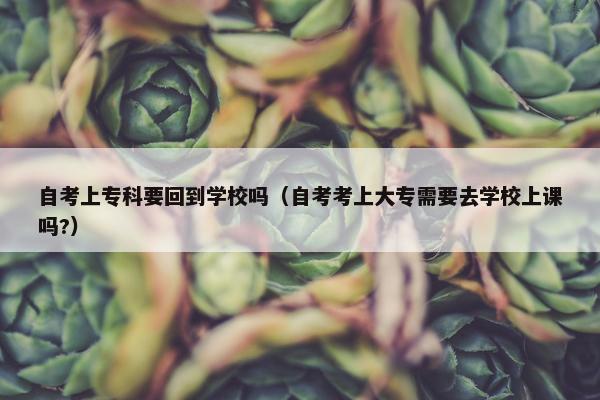 自考上专科要回到学校吗（自考考上大专需要去学校上课吗?）