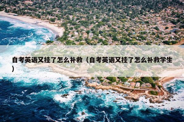 自考英语又挂了怎么补救（自考英语又挂了怎么补救学生）