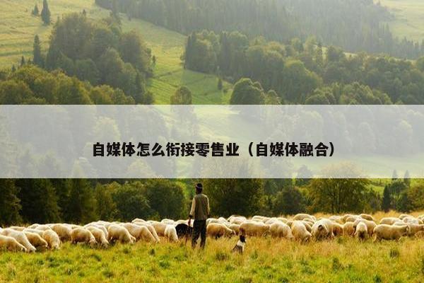 自媒体怎么衔接零售业（自媒体融合）