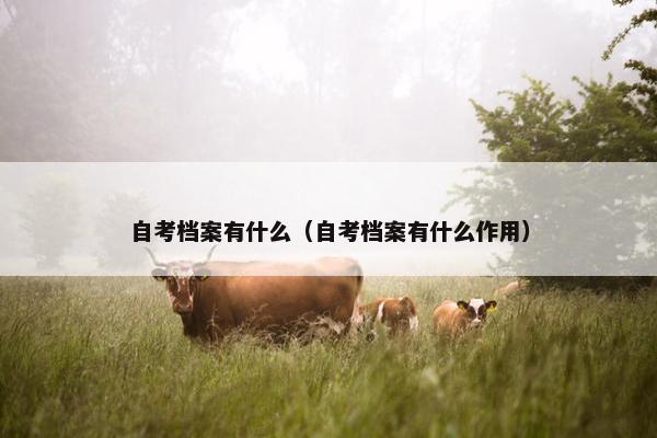 自考档案有什么（自考档案有什么作用）