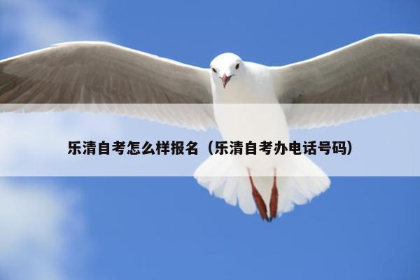 乐清自考怎么样报名（乐清自考办电话号码）