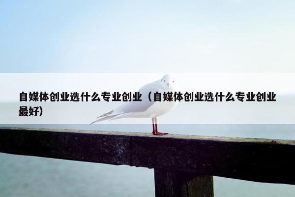 自媒体创业选什么专业创业（自媒体创业选什么专业创业最好）