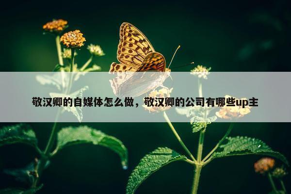 敬汉卿的自媒体怎么做，敬汉卿的公司有哪些up主