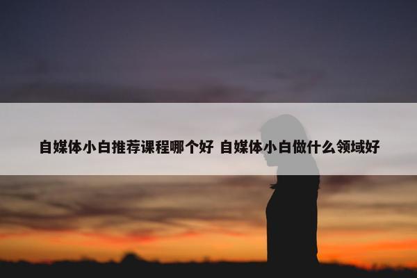 自媒体小白推荐课程哪个好 自媒体小白做什么领域好