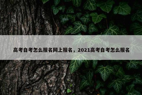 高考自考怎么报名网上报名，2021高考自考怎么报名