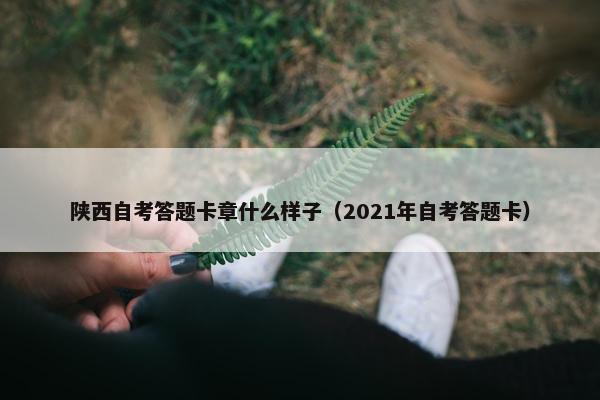 陕西自考答题卡章什么样子（2021年自考答题卡）