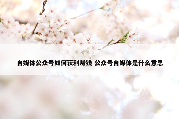 自媒体公众号如何获利赚钱 公众号自媒体是什么意思