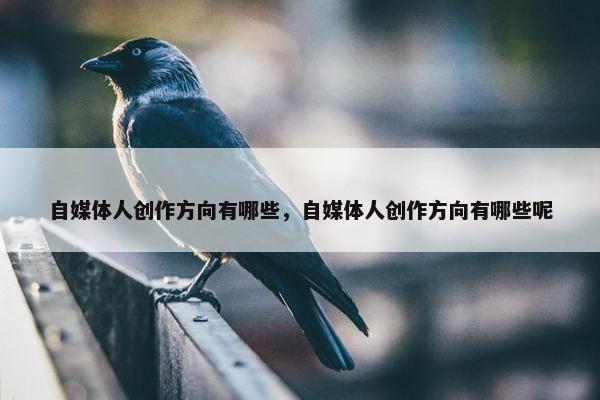 自媒体人创作方向有哪些，自媒体人创作方向有哪些呢