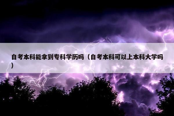 自考本科能拿到专科学历吗（自考本科可以上本科大学吗）