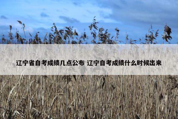 辽宁省自考成绩几点公布 辽宁自考成绩什么时候出来