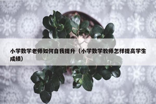 小学数学老师如何自我提升（小学数学教师怎样提高学生成绩）