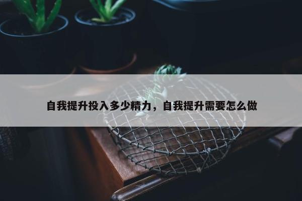 自我提升投入多少精力，自我提升需要怎么做