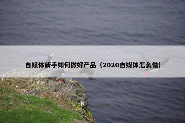 自媒体新手如何做好产品（2020自媒体怎么做）