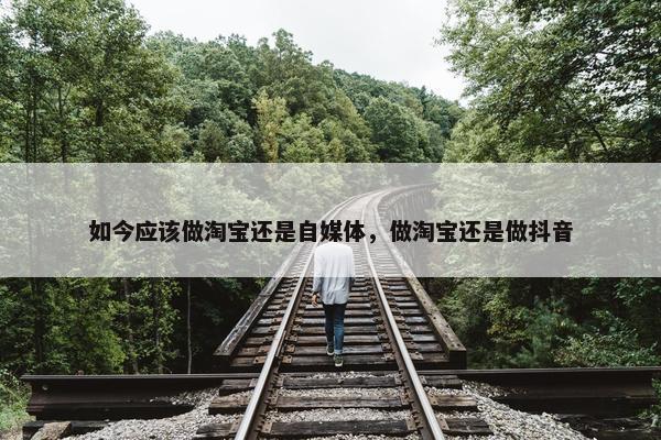 如今应该做淘宝还是自媒体，做淘宝还是做抖音