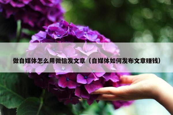 做自媒体怎么用微信发文章（自媒体如何发布文章赚钱）