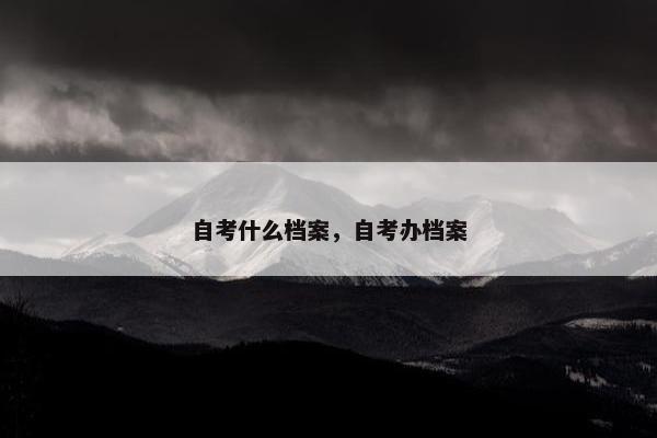 自考什么档案，自考办档案