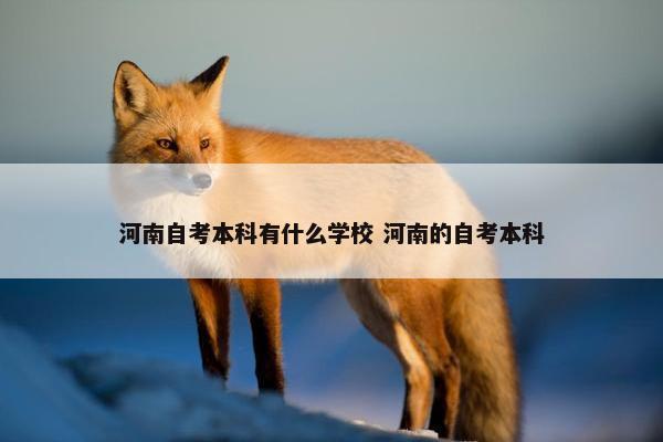 河南自考本科有什么学校 河南的自考本科