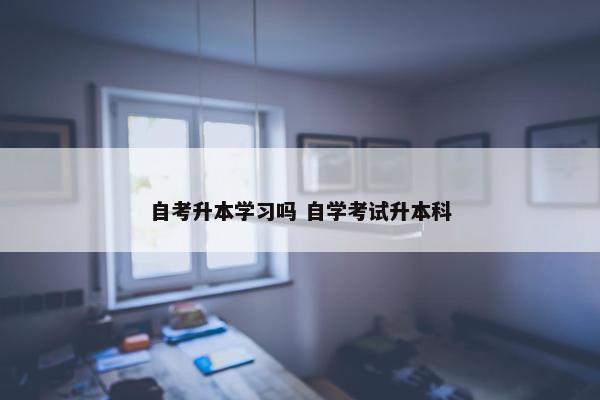 自考升本学习吗 自学考试升本科