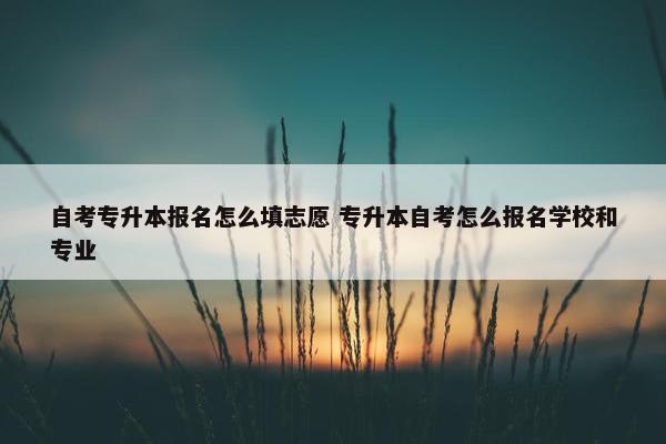 自考专升本报名怎么填志愿 专升本自考怎么报名学校和专业