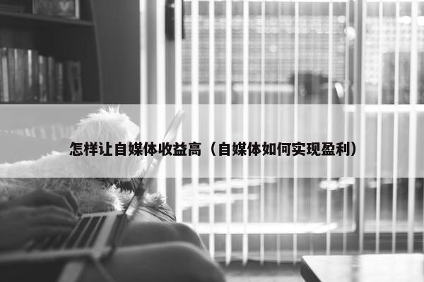 怎样让自媒体收益高（自媒体如何实现盈利）