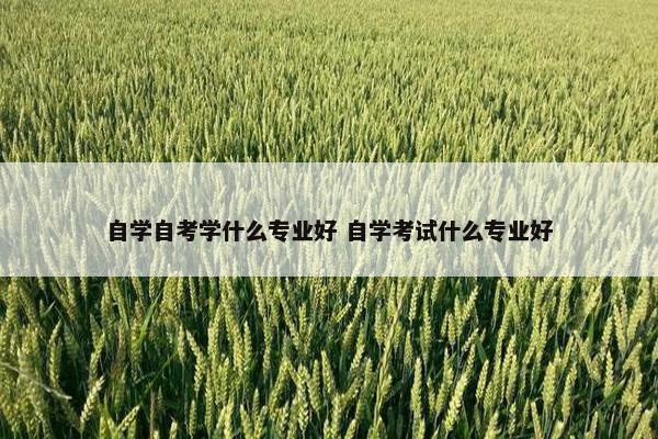 自学自考学什么专业好 自学考试什么专业好