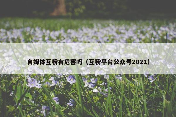 自媒体互粉有危害吗（互粉平台公众号2021）