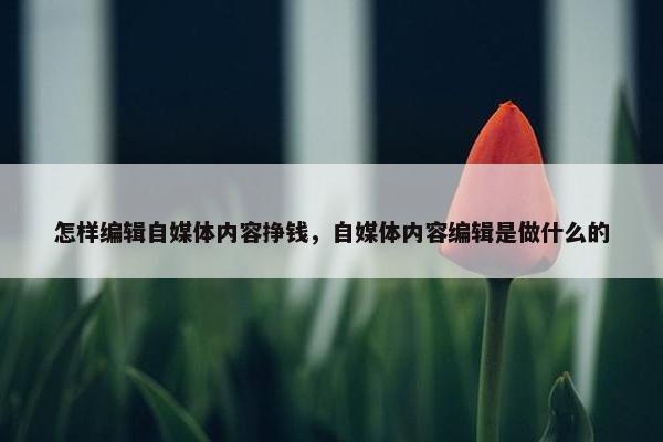 怎样编辑自媒体内容挣钱，自媒体内容编辑是做什么的