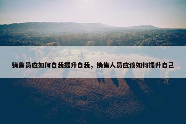 销售员应如何自我提升自我，销售人员应该如何提升自己