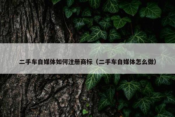 二手车自媒体如何注册商标（二手车自媒体怎么做）