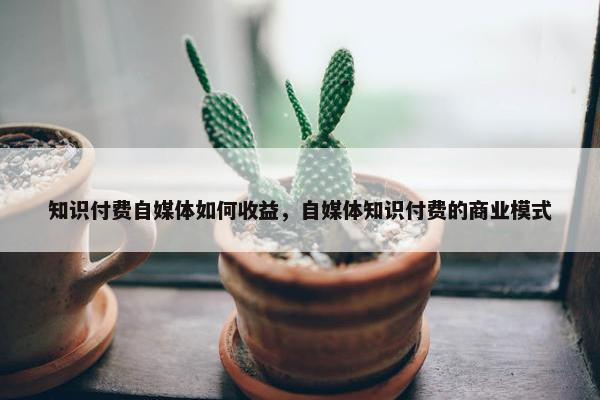 知识付费自媒体如何收益，自媒体知识付费的商业模式