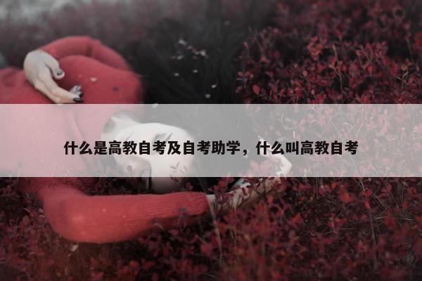 什么是高教自考及自考助学，什么叫高教自考