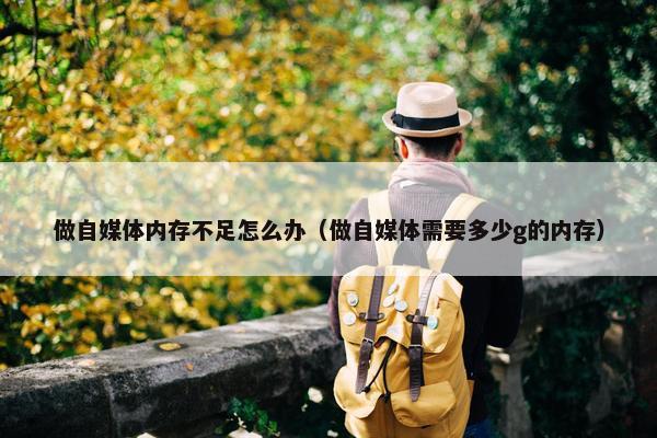 做自媒体内存不足怎么办（做自媒体需要多少g的内存）