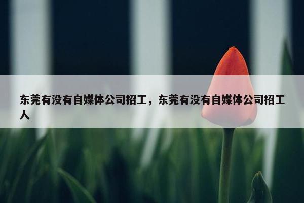 东莞有没有自媒体公司招工，东莞有没有自媒体公司招工人